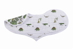 Dino Days Burp Cloth Bibs